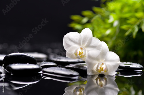 Spa and aromatherapy concept shot