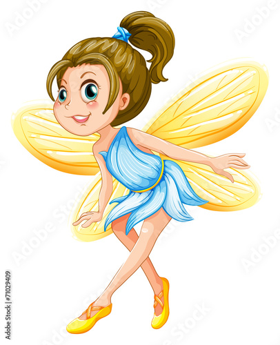 Fairy