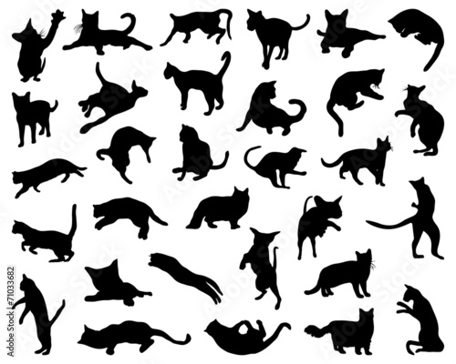 Big set of cats silhouettes, vector illustration