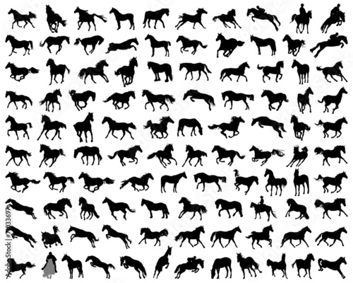 Big set of horses silhouettes, vector illustration Fototapet
