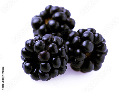Ripe juicy blackberries.