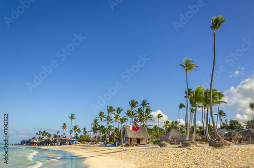 Canvas Print Tall exotic palm tree on one of the Caribbean beach