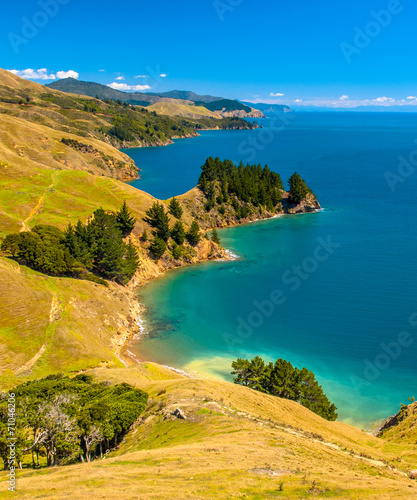 Blue water at Marlborough Sounds, South Island, New Zealand photo