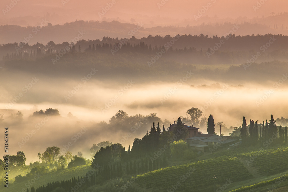 Tuscany Village Landscape on a Morning in July