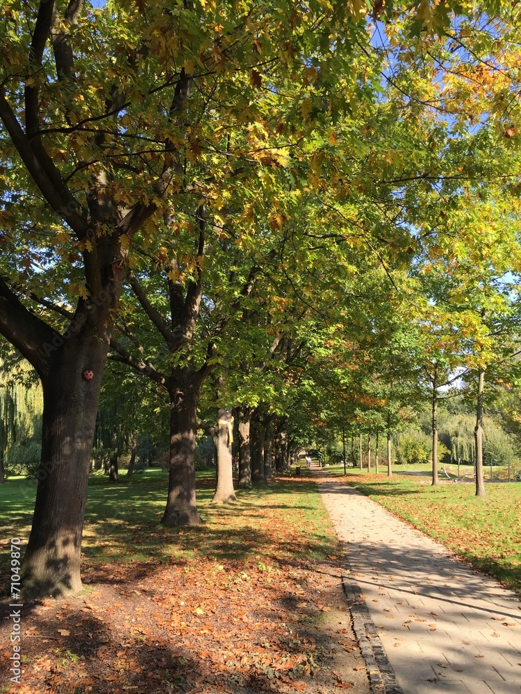 Naklejka premium Parkanlage im Herbst