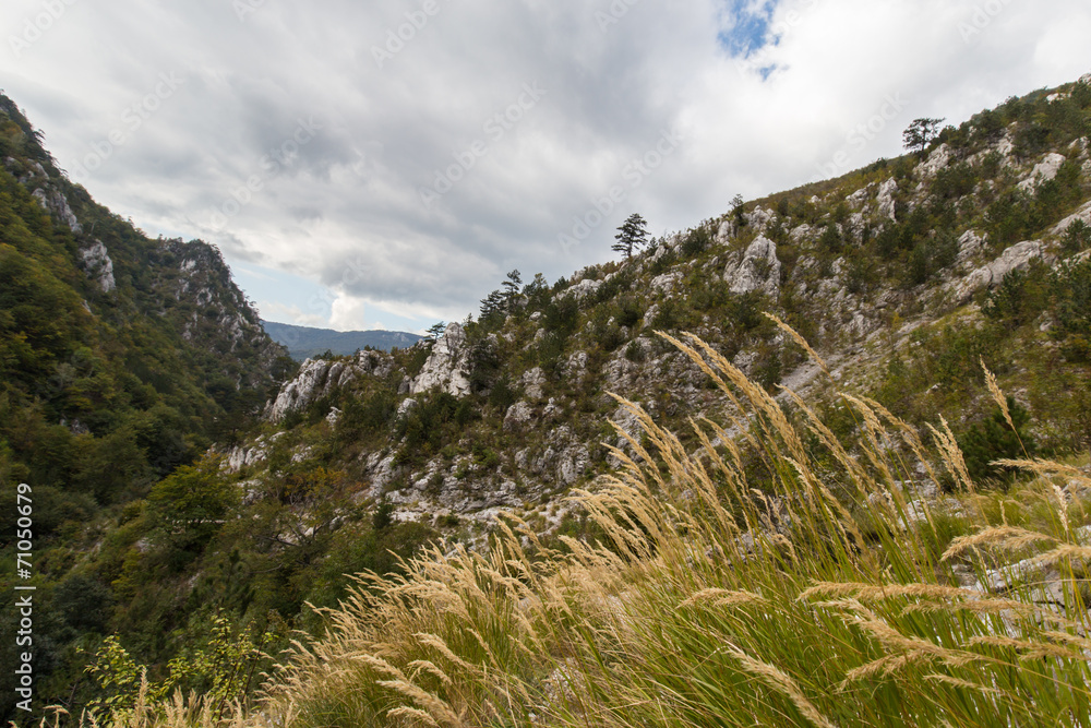 Scenic hiking path in the mountains in autumn