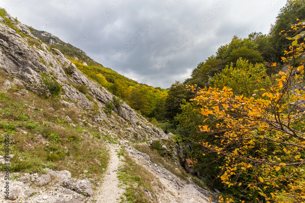 Scenic hiking path in the mountains in autumn