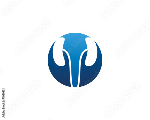 Kidney Icon 1