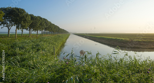 Wallpaper Mural Canal through a foggy landscape at dawn Torontodigital.ca