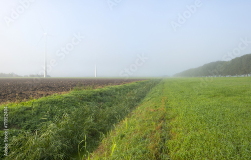 Wind turbine in a foggy field at dawn