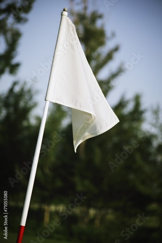 Flag On The Golf Course