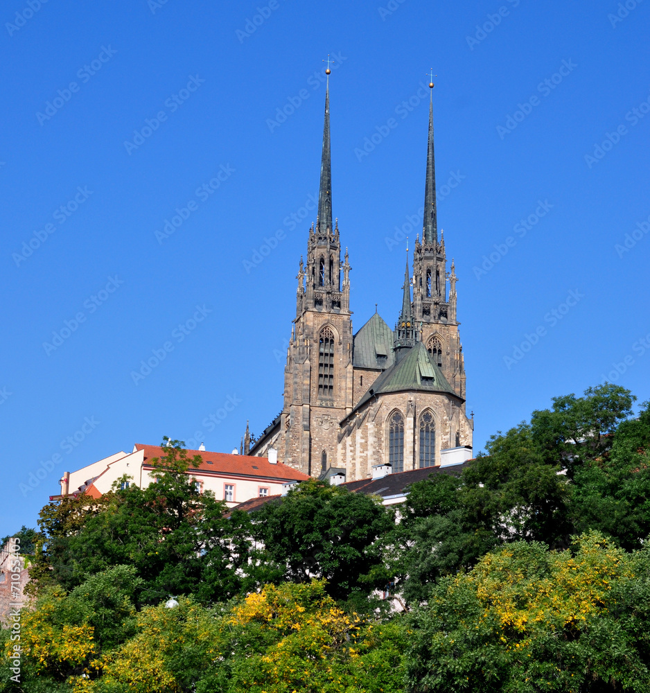 Cathedral of Peter and Paul in Brno, Czech Republic