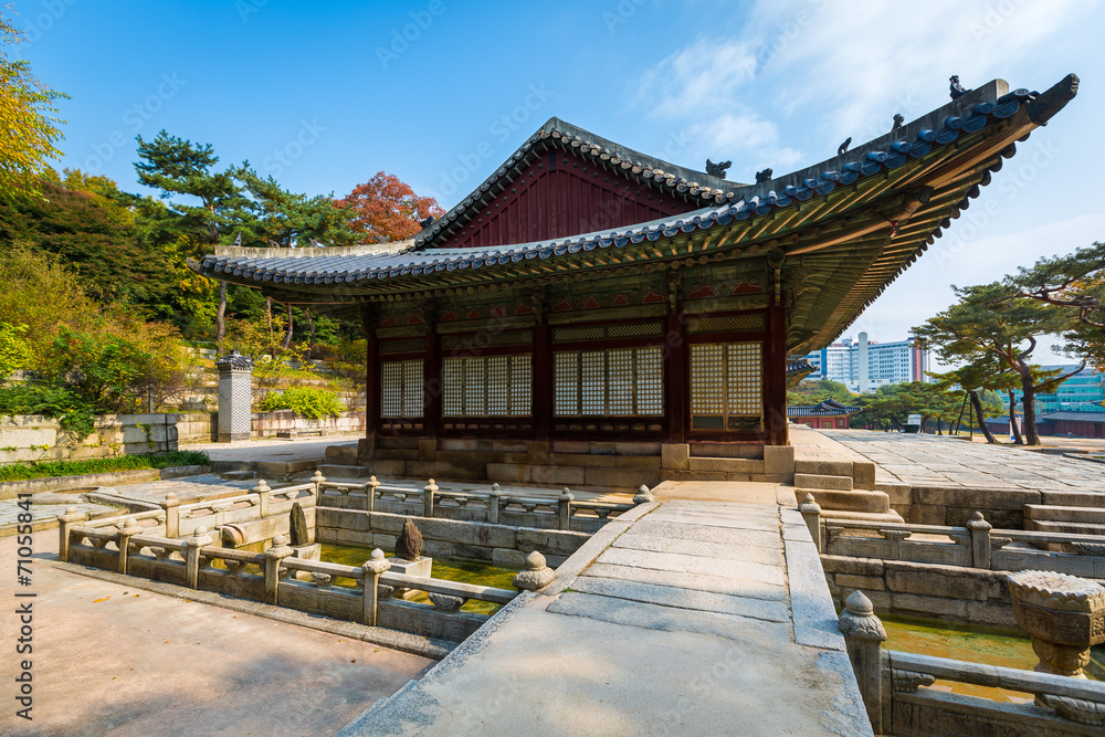 Park of Changgyeonggung Palace, Seoul, South Korea