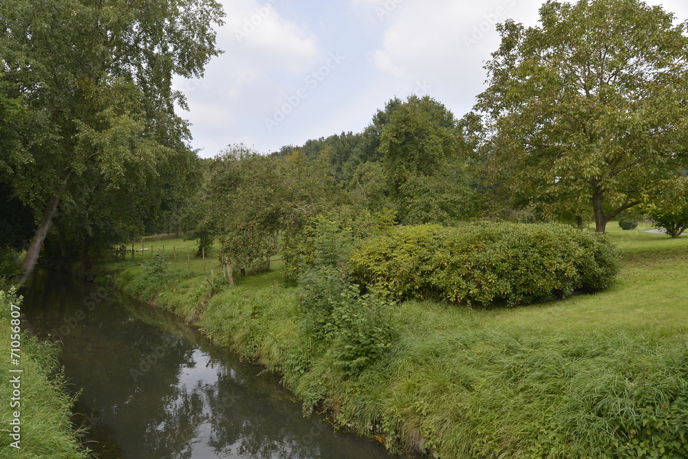 Le ruisseau Le ruisseau