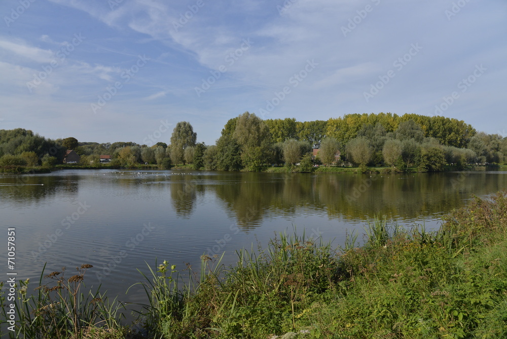 La nature entourant l'étang principal du parc de Neerpede