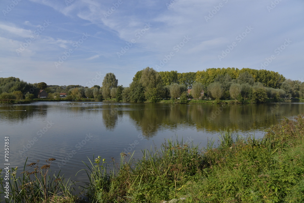 La nature entourant l'étang principal du parc de Neerpede La nature entourant l'étang principal du parc de Neerpede
