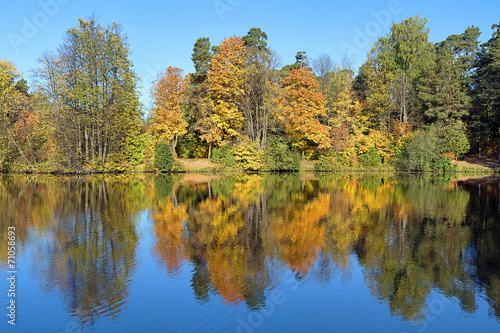 Symmetrical landscape with trees reflecting in a lake in autumn