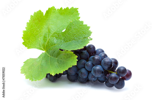 dark grapes isolated