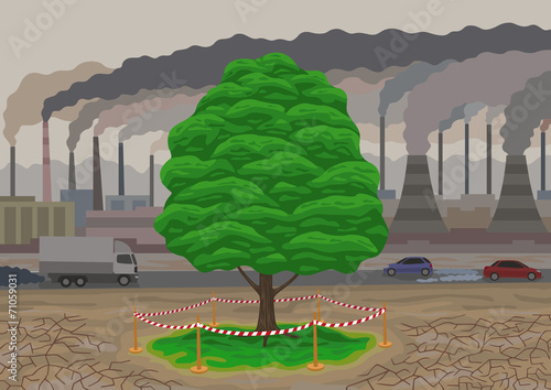 The last tree.