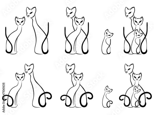 Set of contour sketches of cat families