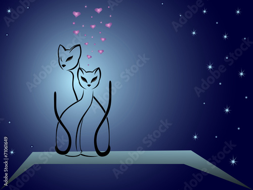 Enamoured cats against dark blue night sky