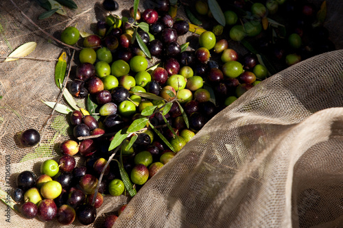 OLIVE