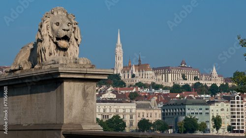 Chain Bridge in Budapest © Fabio Lotti