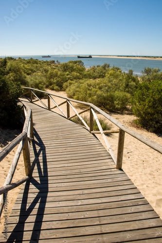 wooden path