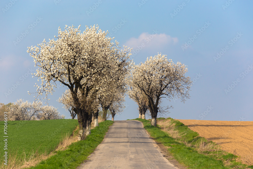Path Path