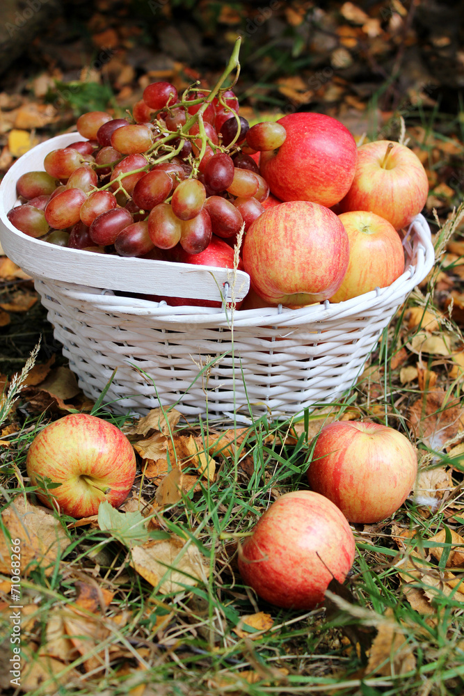 Autumn fruit in the garden