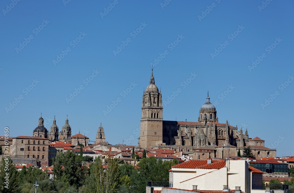 Cathédrale de Salamanque. Salamanca.