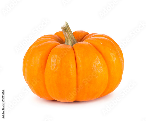 Mini Orange Pumpkin Isolated on White photo