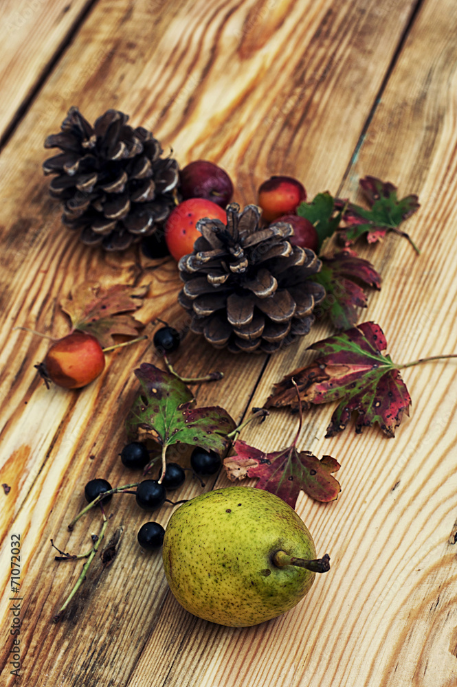 autumn fruits and berries on wooden table autumn fruits and berries on wooden table