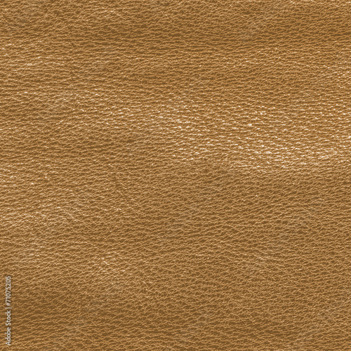 light brown leather texture