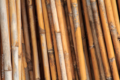 Dried bamboo.