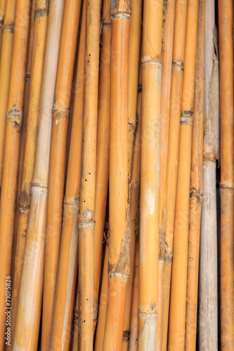 Dried bamboo.