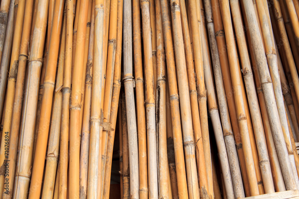 Dried bamboo. Dried bamboo.