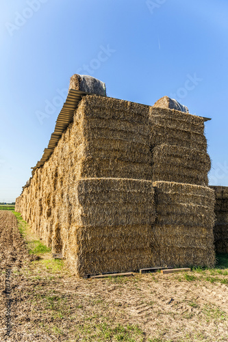 bale of straw in automn in intensive colors