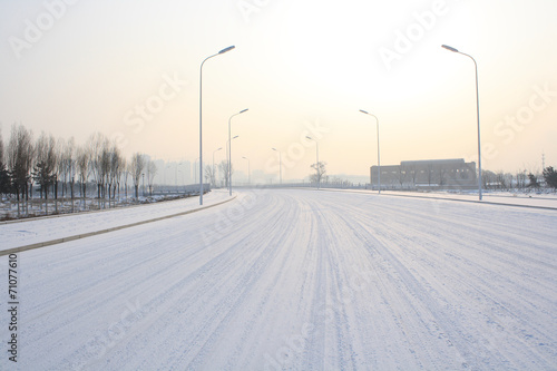 Quadro em tela Winter road