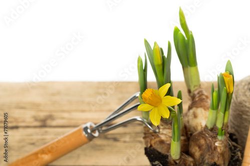 Gardening tools