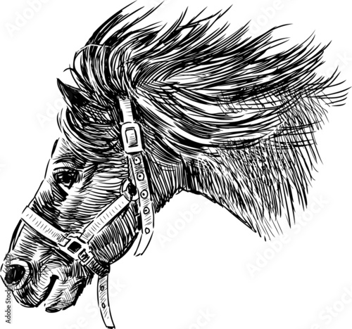 head of running horse