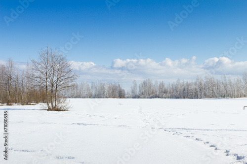 Russian winter © AnnaMoskvina