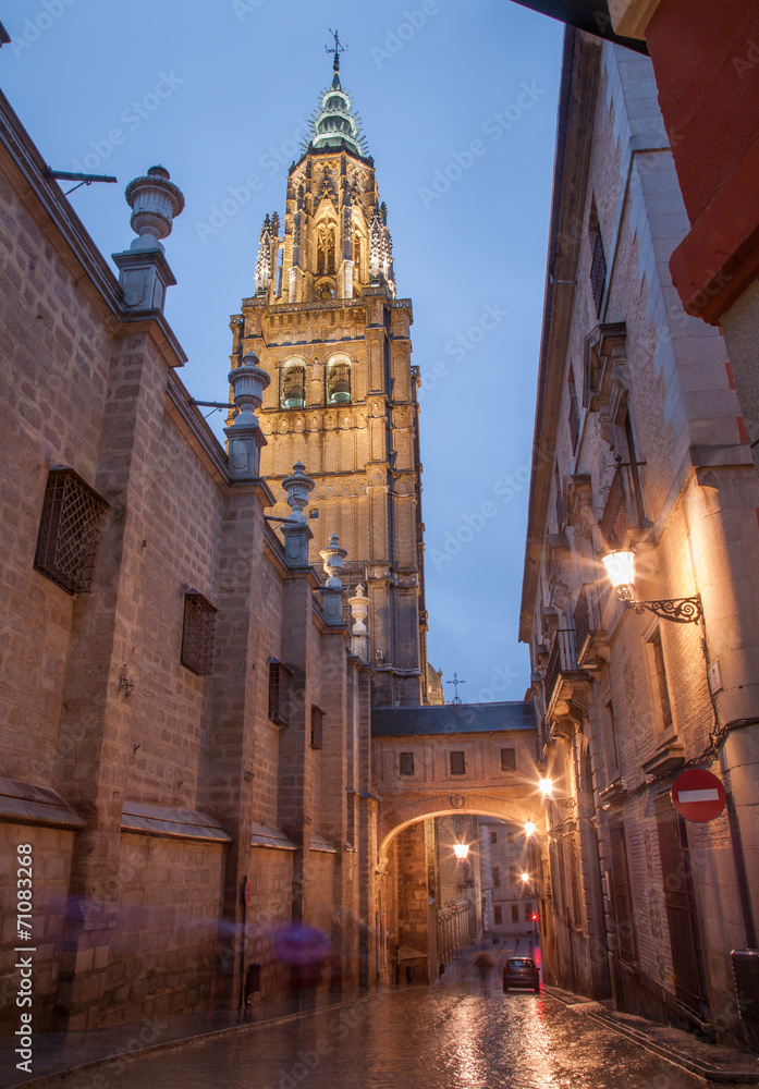 Toledo - Cathedral Primada Santa Maria de Toledo in dusk