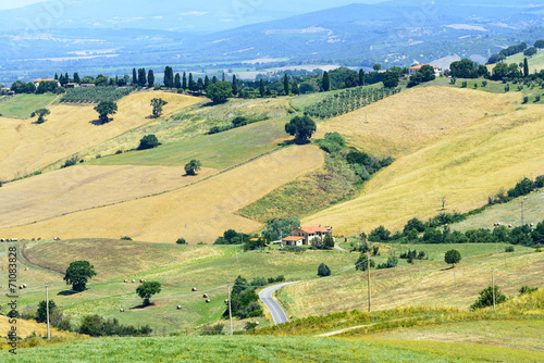 Maremma  Tuscany  Italy 