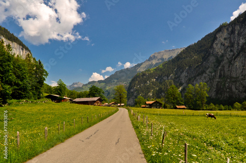 Mountain Road in Swiss Alps Valley, Jungfrau Region