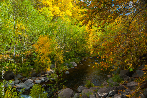 Sedona Arizona USA Fall Colors