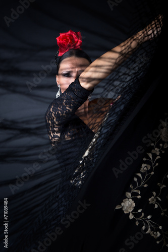 Canvas Print Young flamenco dancer in beautiful dress on black background.