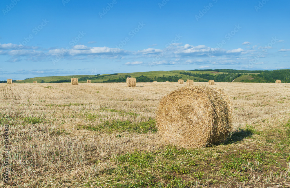 dry hay rolls