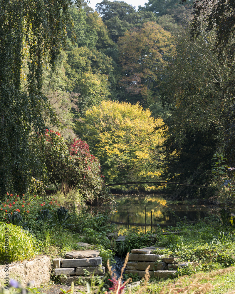 park and pond in autumn