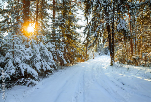 winter landscape with the forest and a road